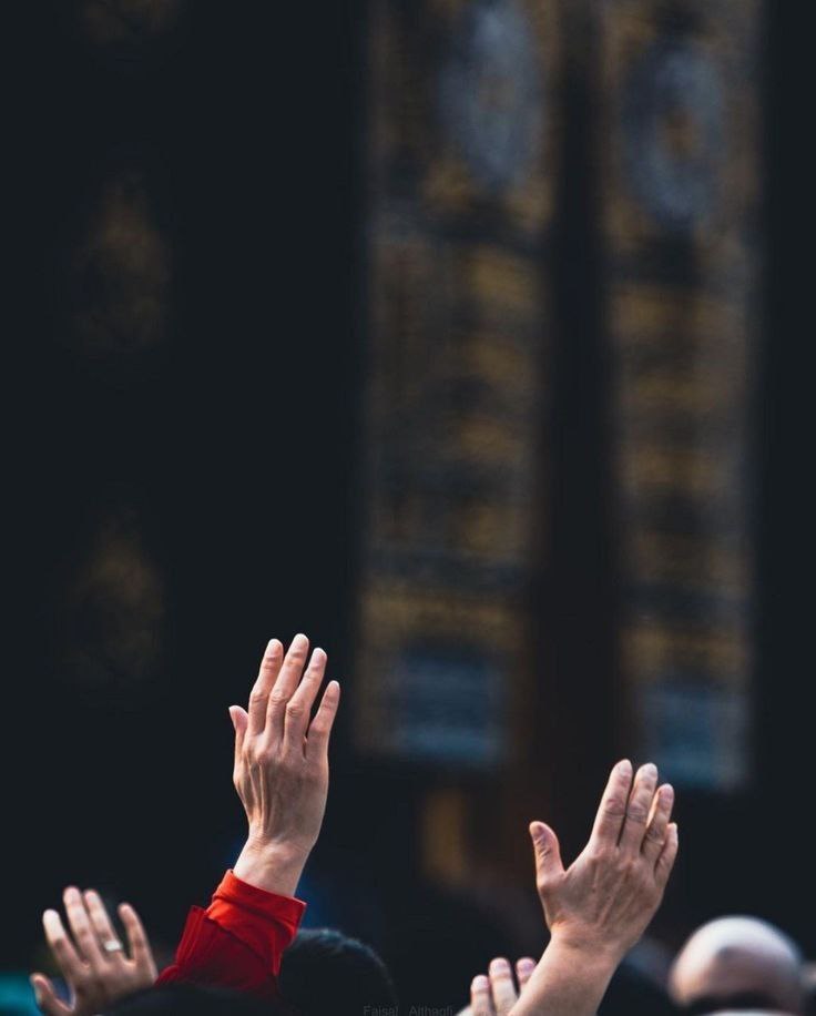 للبركه فى المال