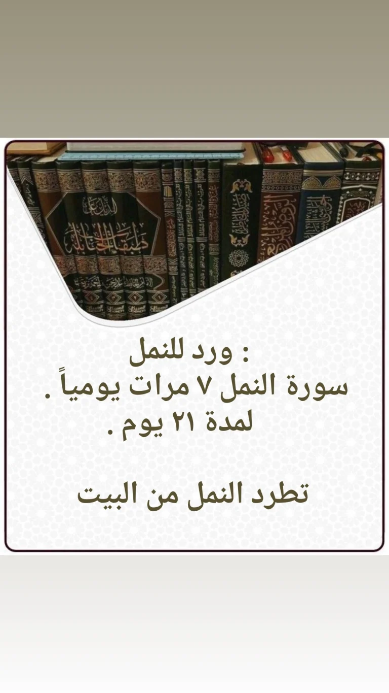 لطرد النمل من البيت