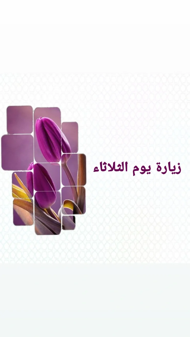 زيارة يوم الثلاثاء