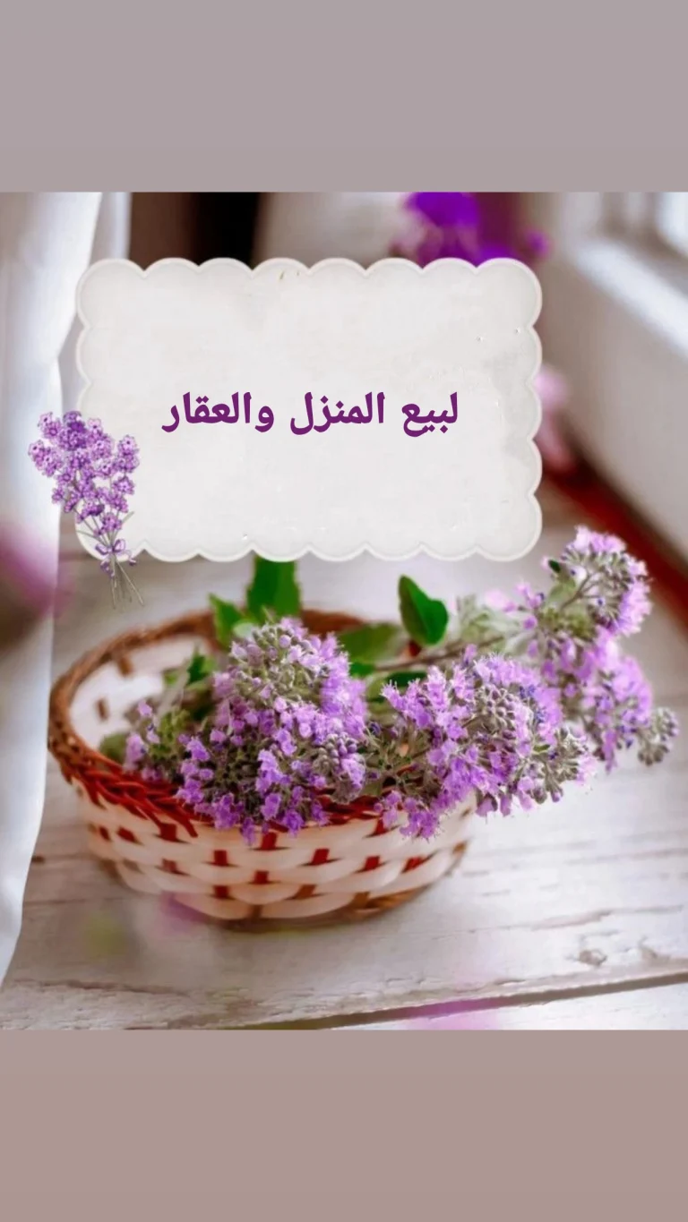 بيع المنزل والعقار