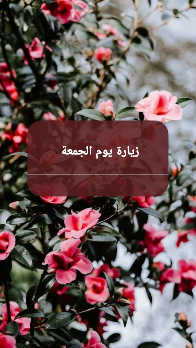 زيارة يوم الجمعة