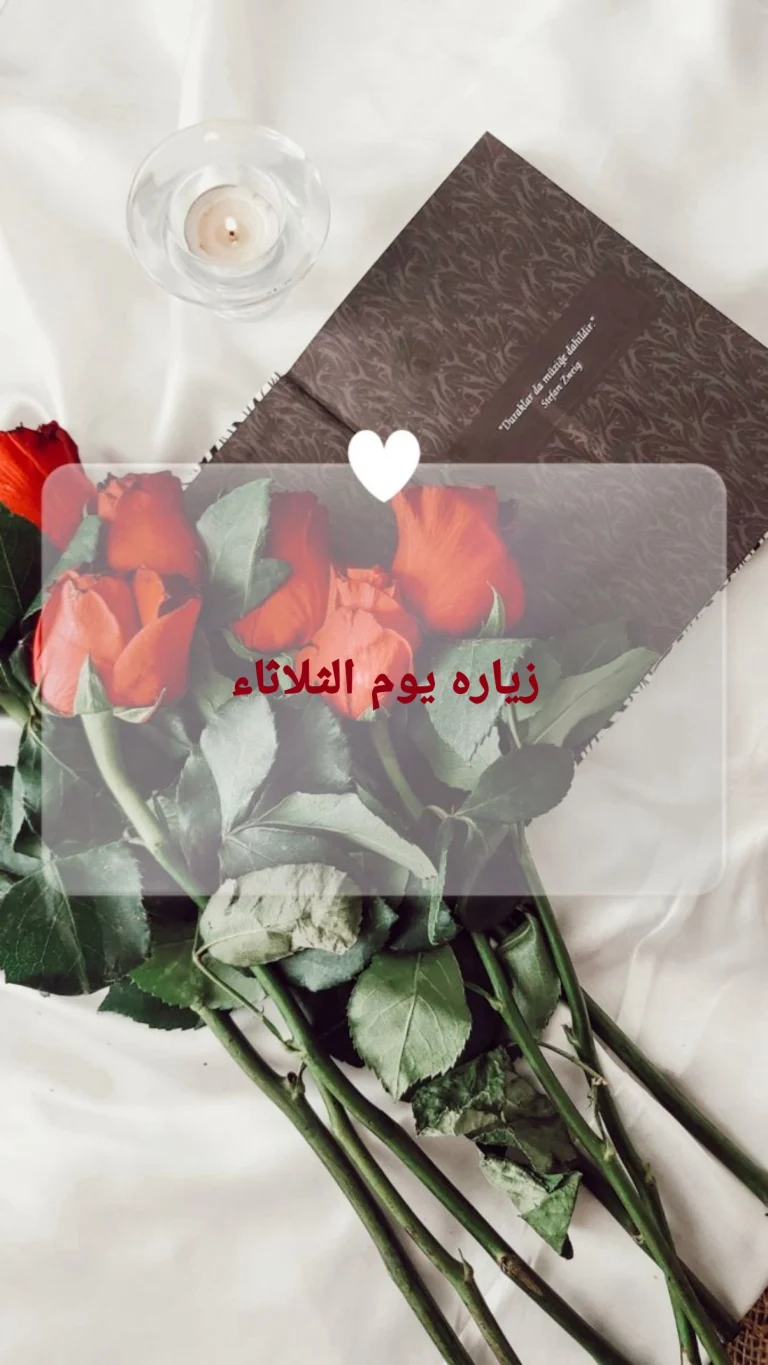 زياره يوم الثلاثاء