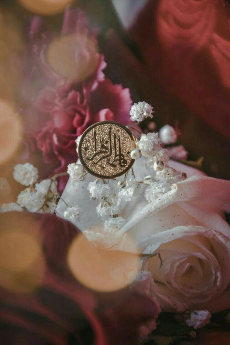 عظمة ذكر الزهراء عليها السلام 🤎