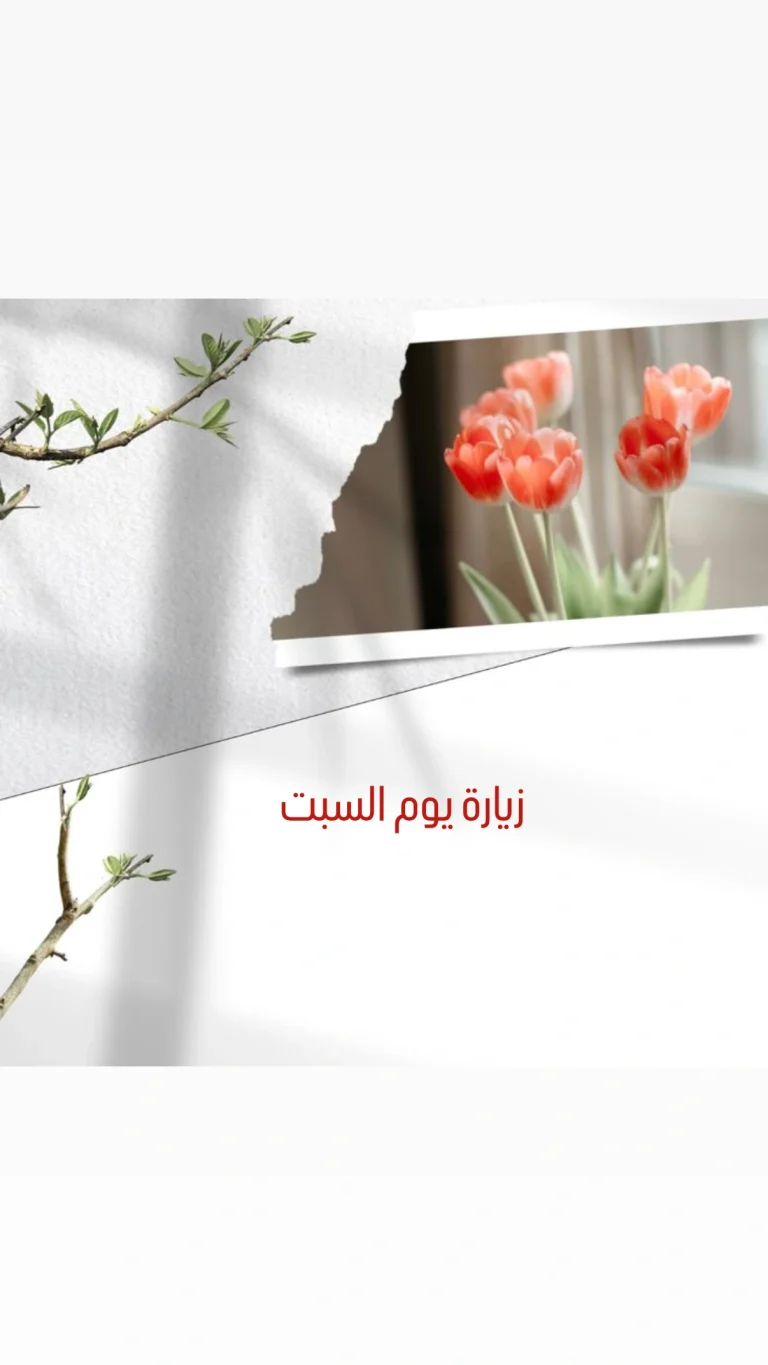 زيارة يوم السبت