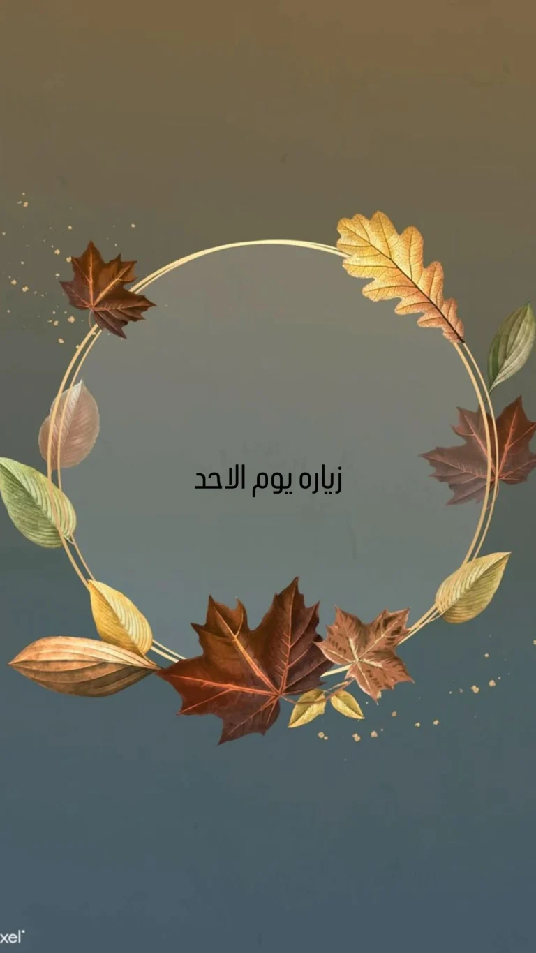 زياره يوم الاحد