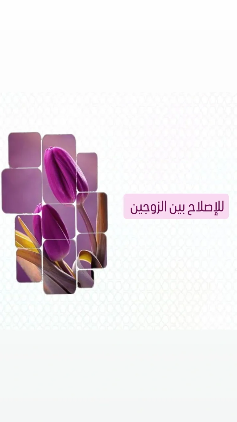 للإصلاح بين الزوجين