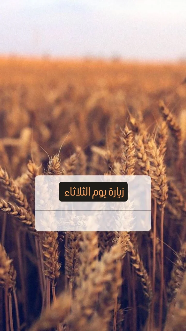 زيارة يوم الثلاثاء