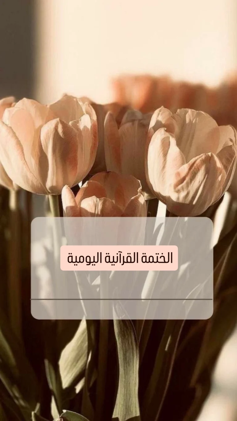الختمة القرآنية اليومية